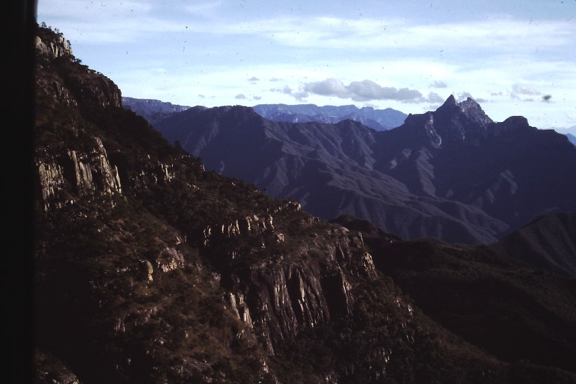 My beautiful picture